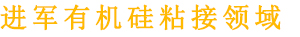 康利邦的实力到底怎么样呢？